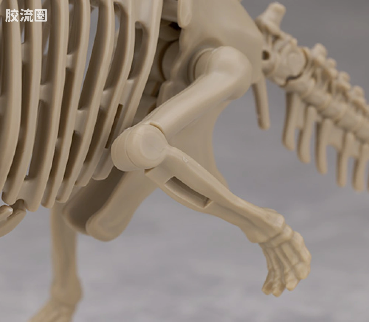 万代综合拼装模型系列 Plannosaurus <侏罗纪世界 重生> 泰坦巨龙 - 图片